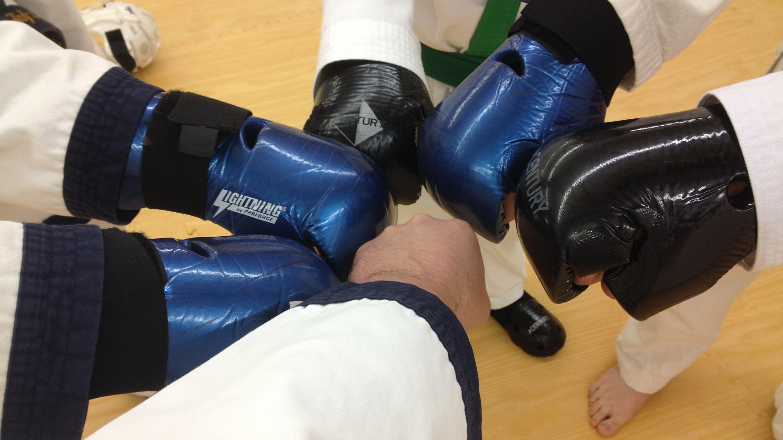 Rockhold Karate Teen/Adult Program